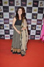 at Radio Mirchi music awards red carpet in Mumbai on 7th Feb 2013 (165).JPG